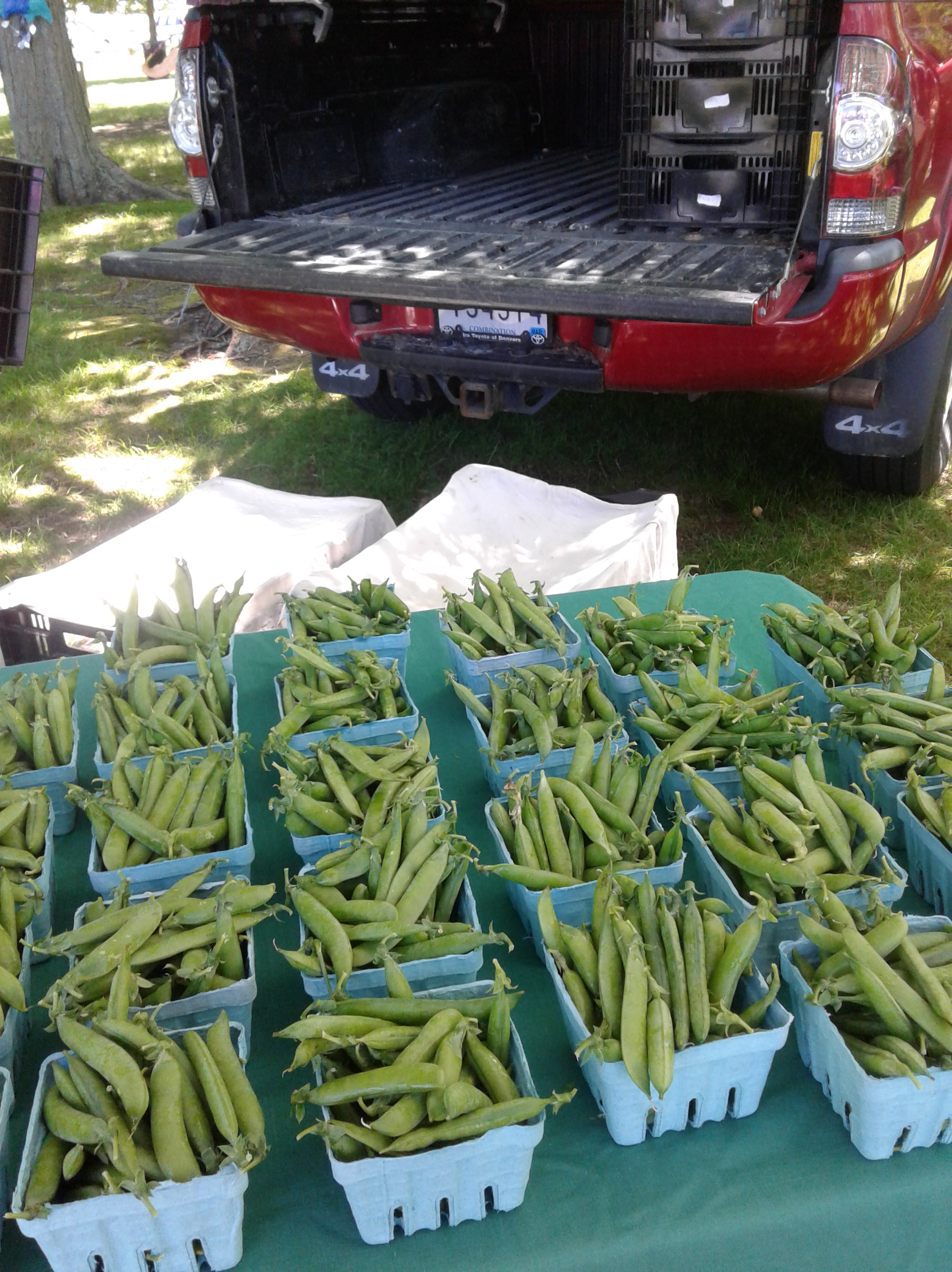newport market peas before